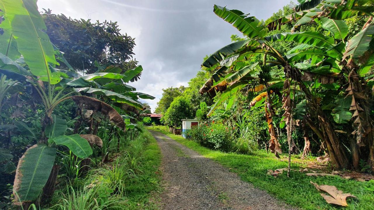 Jungle Eco Reserve Hotel Colon Luaran gambar